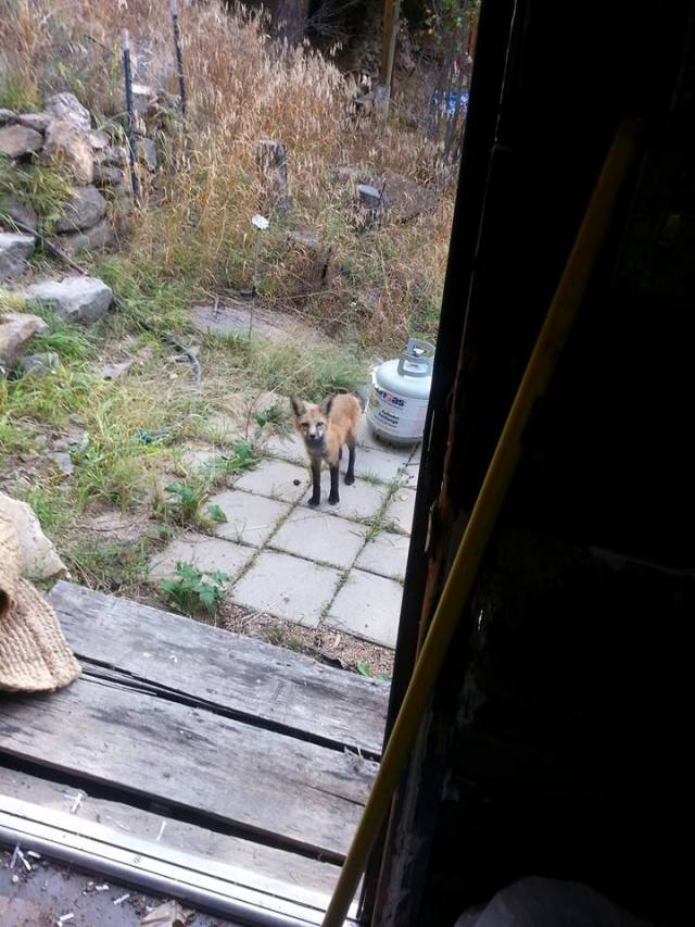 12006272_10206544937397341_6715737093689411925_n