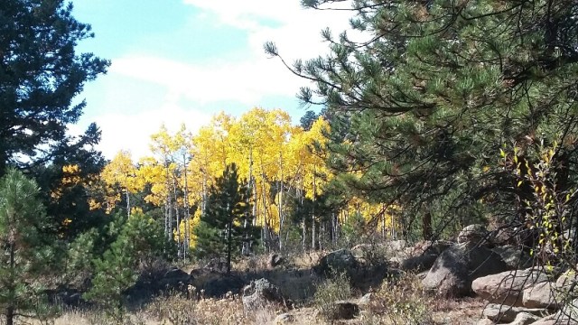 20151017_134731_resized_1