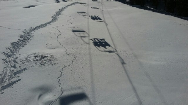 20151115_124831_resized