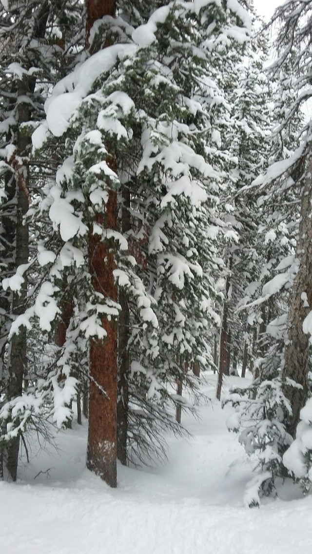 20151223_124953_resized