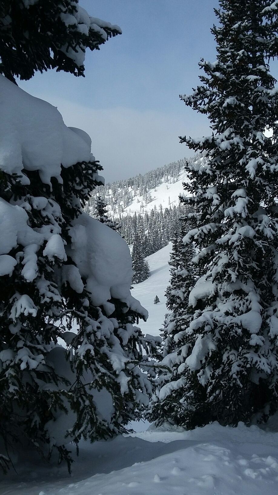 20170126_112513_resized