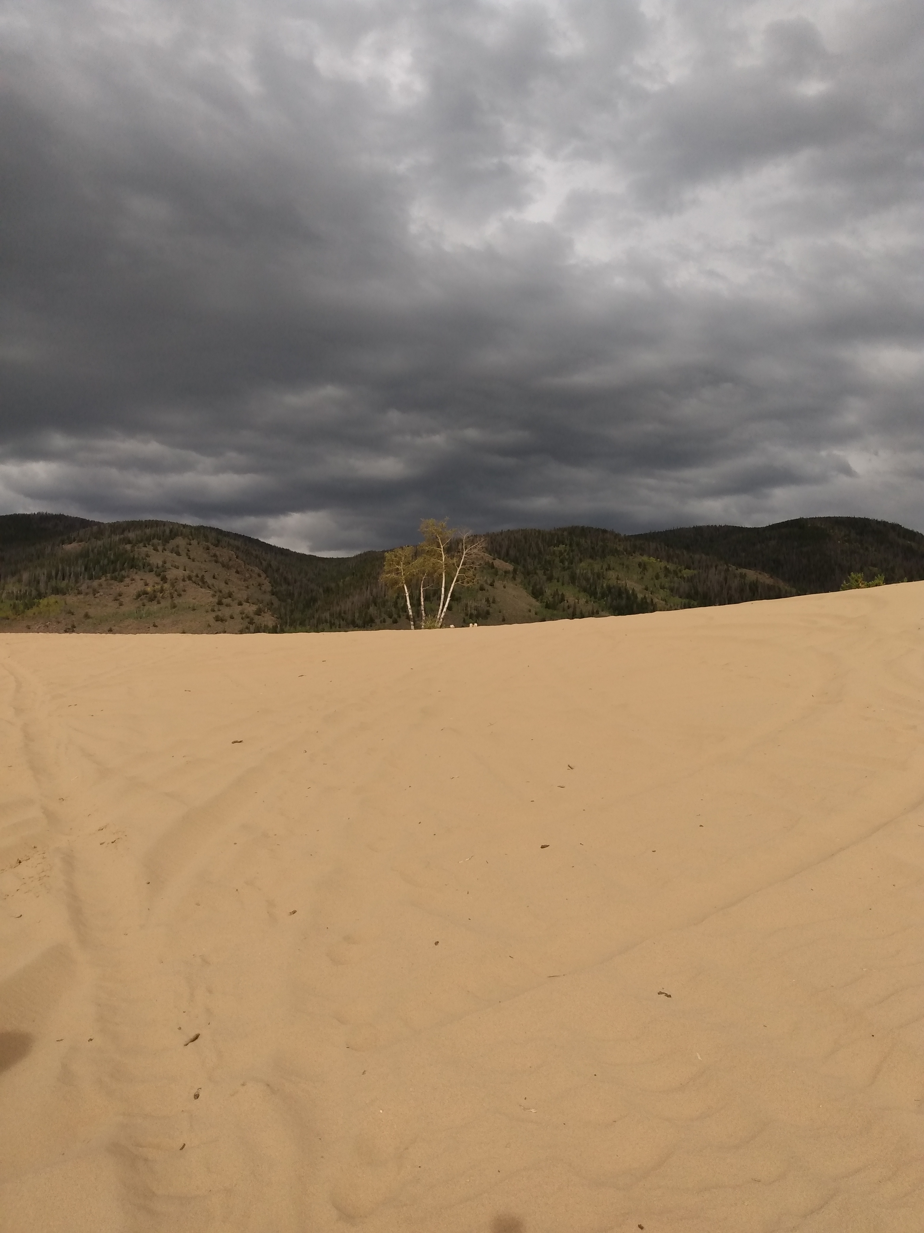 IMG_20190921_162645409