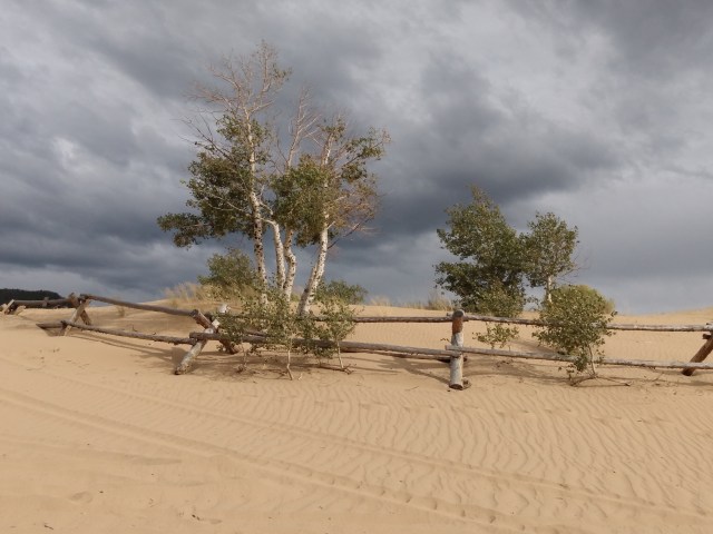 IMG_20190921_162656912