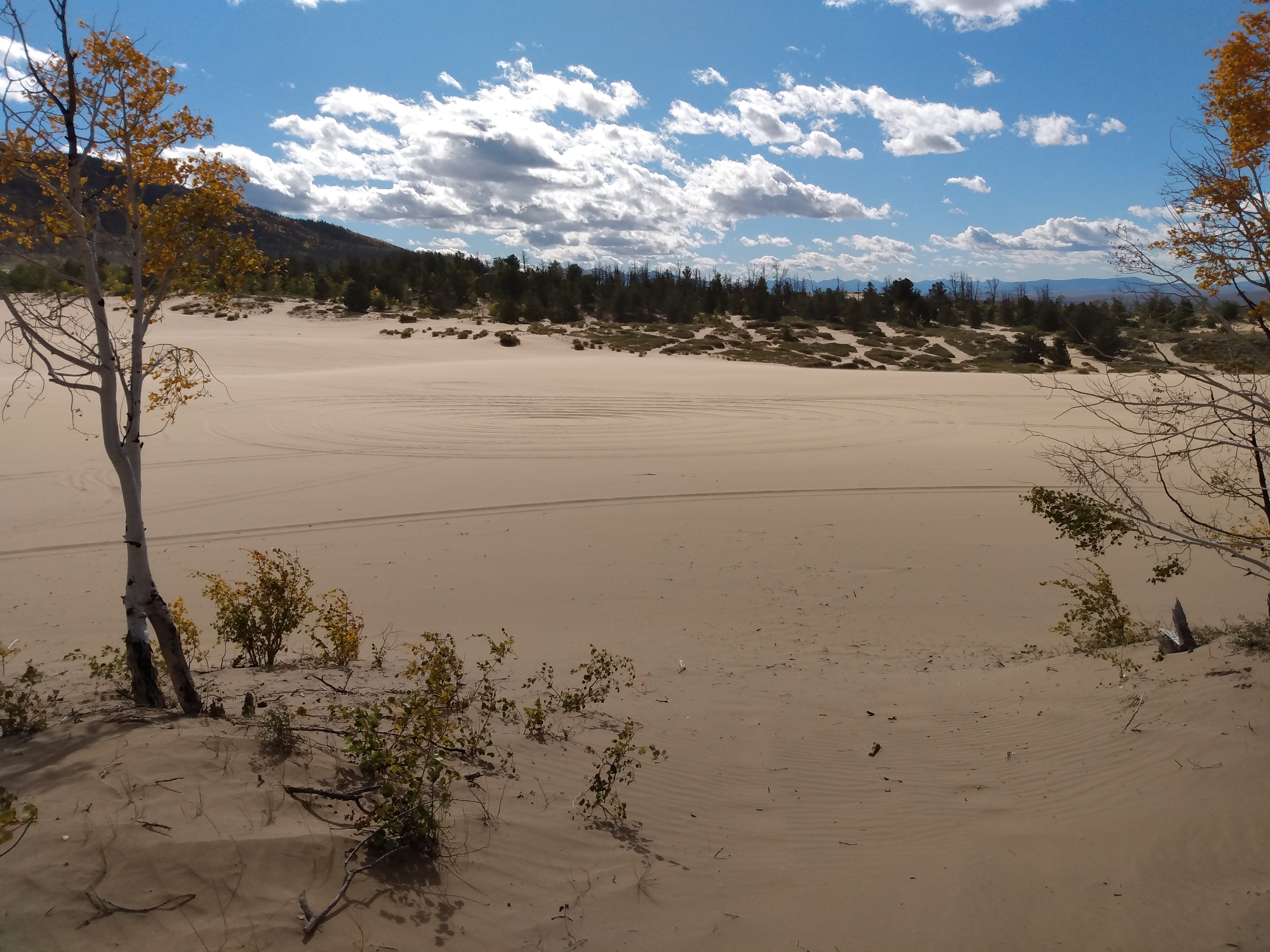 IMG_20190929_102700036