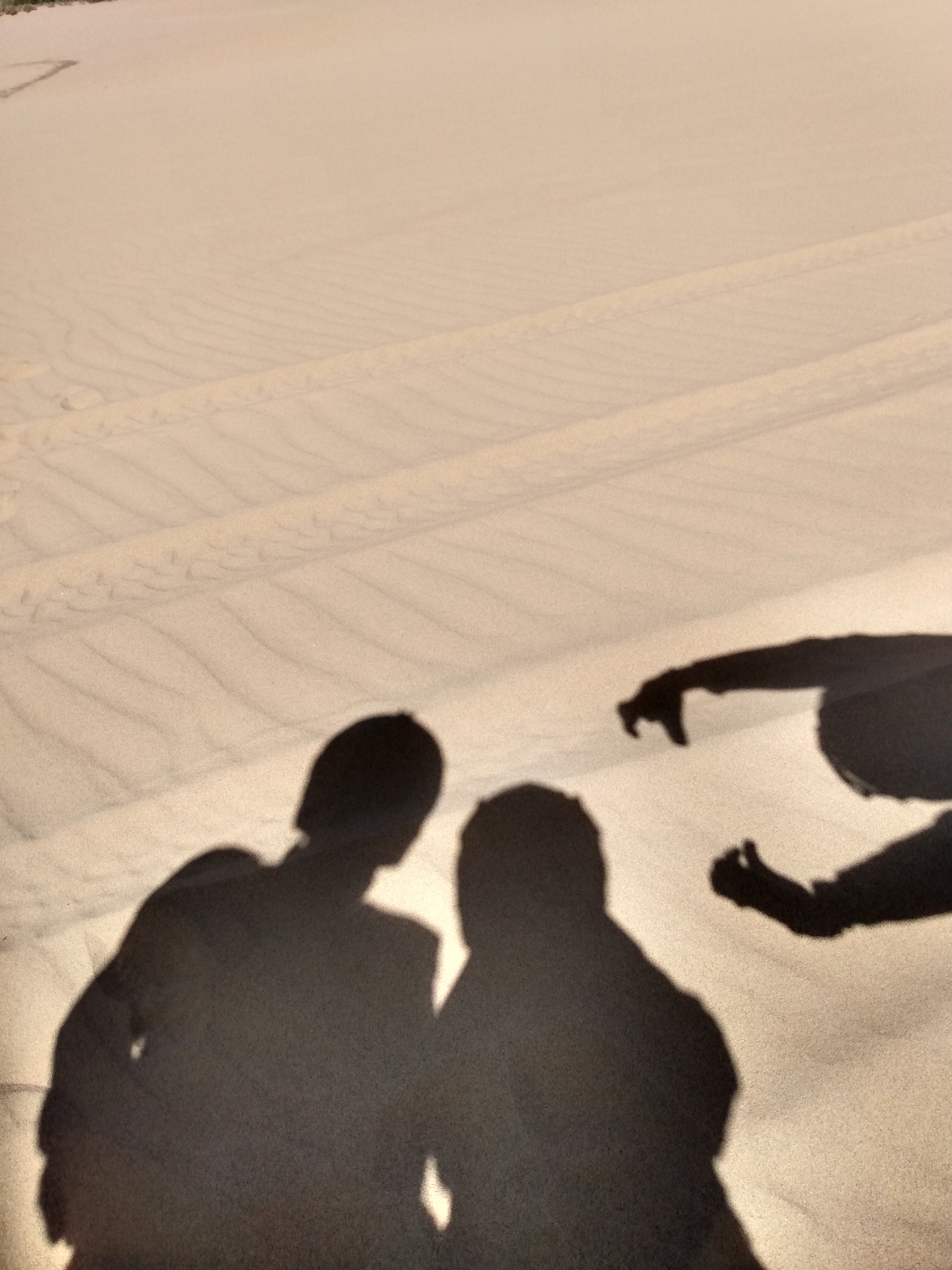 IMG_20190929_115341125_HDR