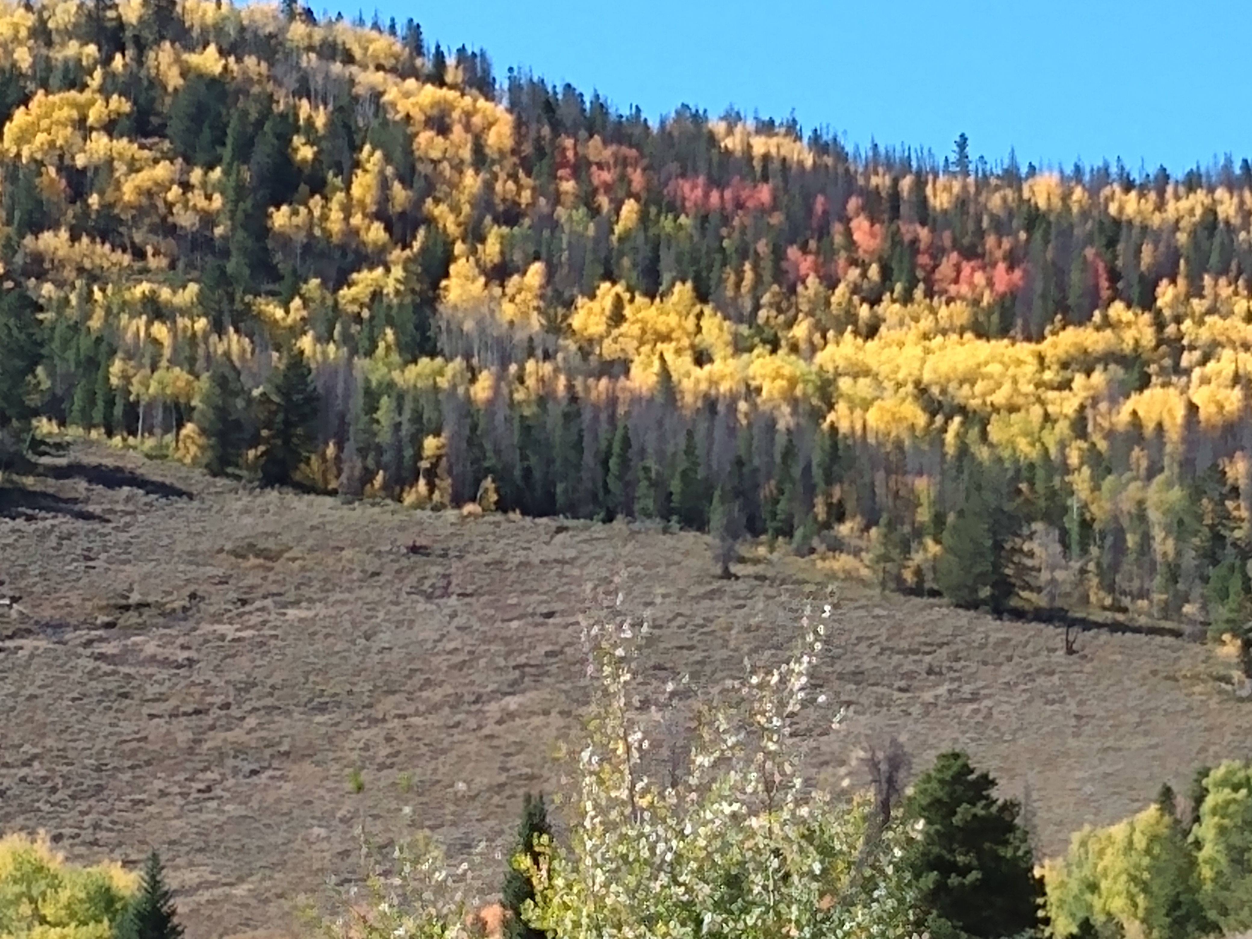 IMG_20190929_144726051