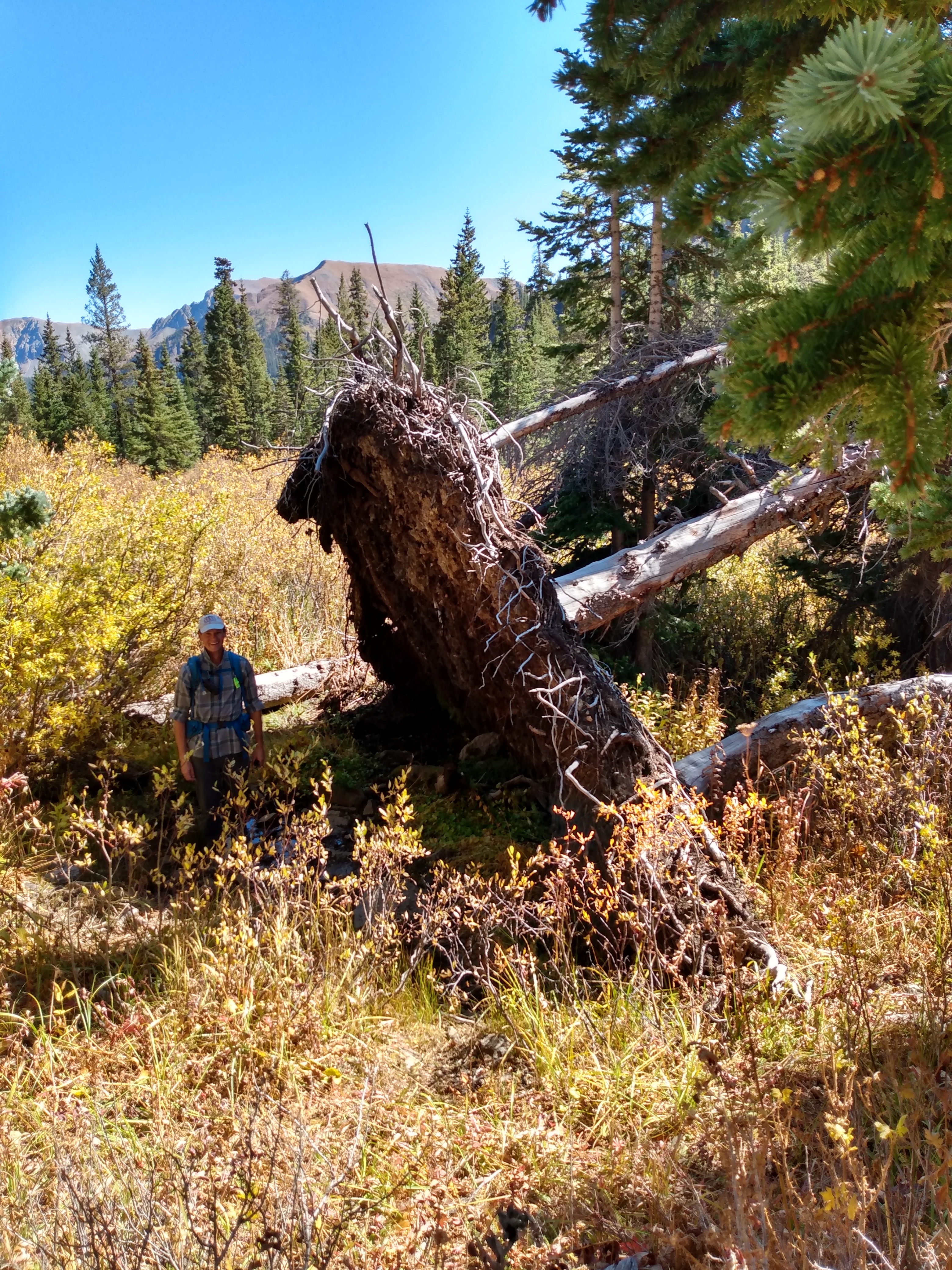 IMG_20191005_141350988_HDR