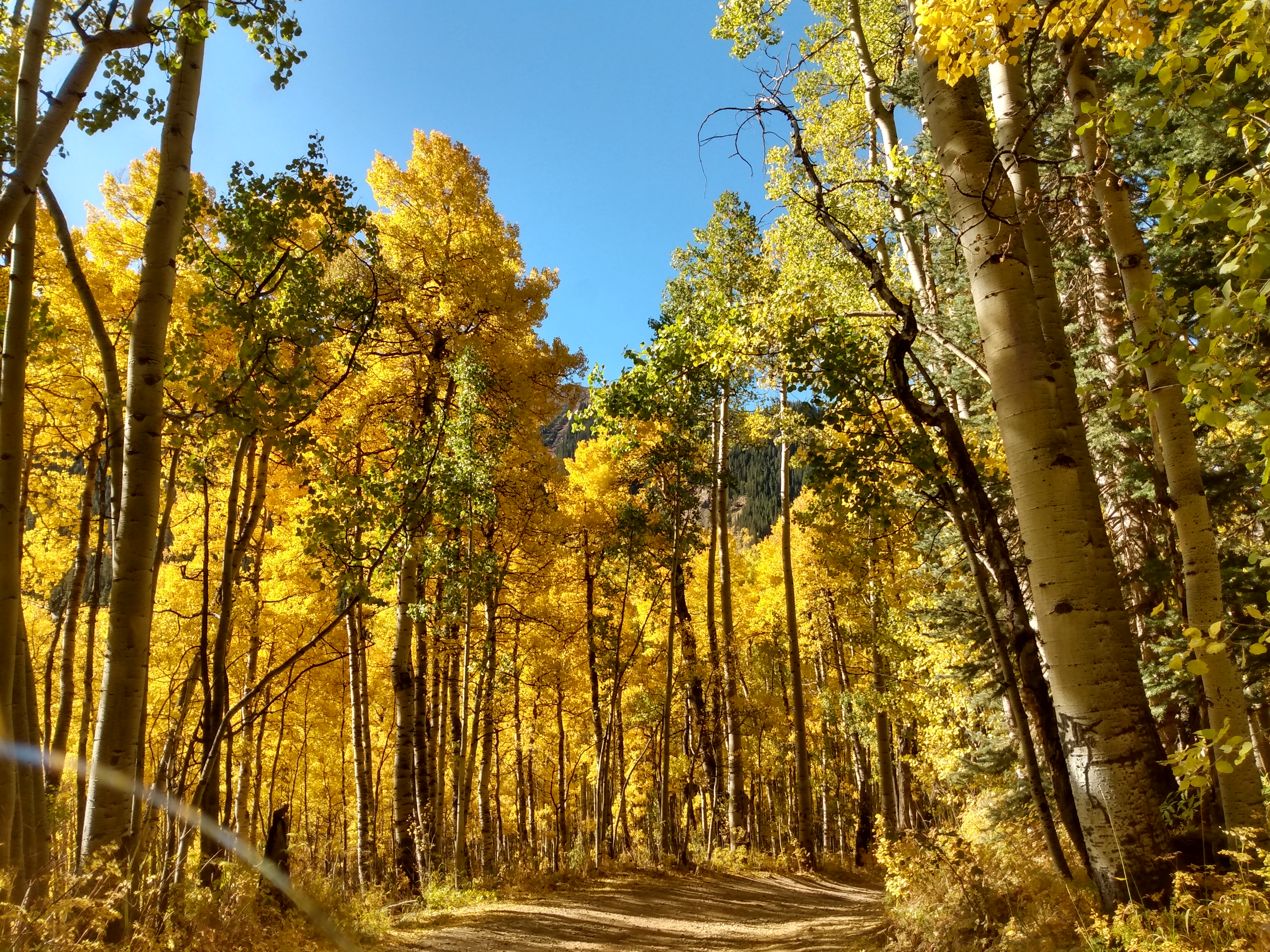 IMG_20191006_102011003_HDR