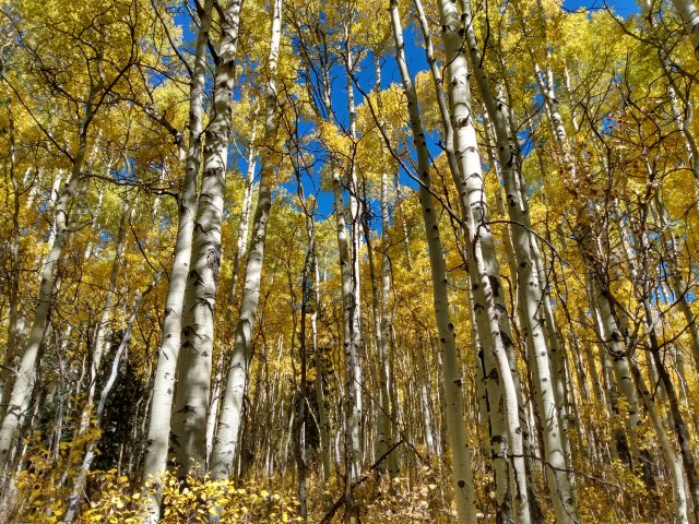 IMG_20191006_103130439_HDR