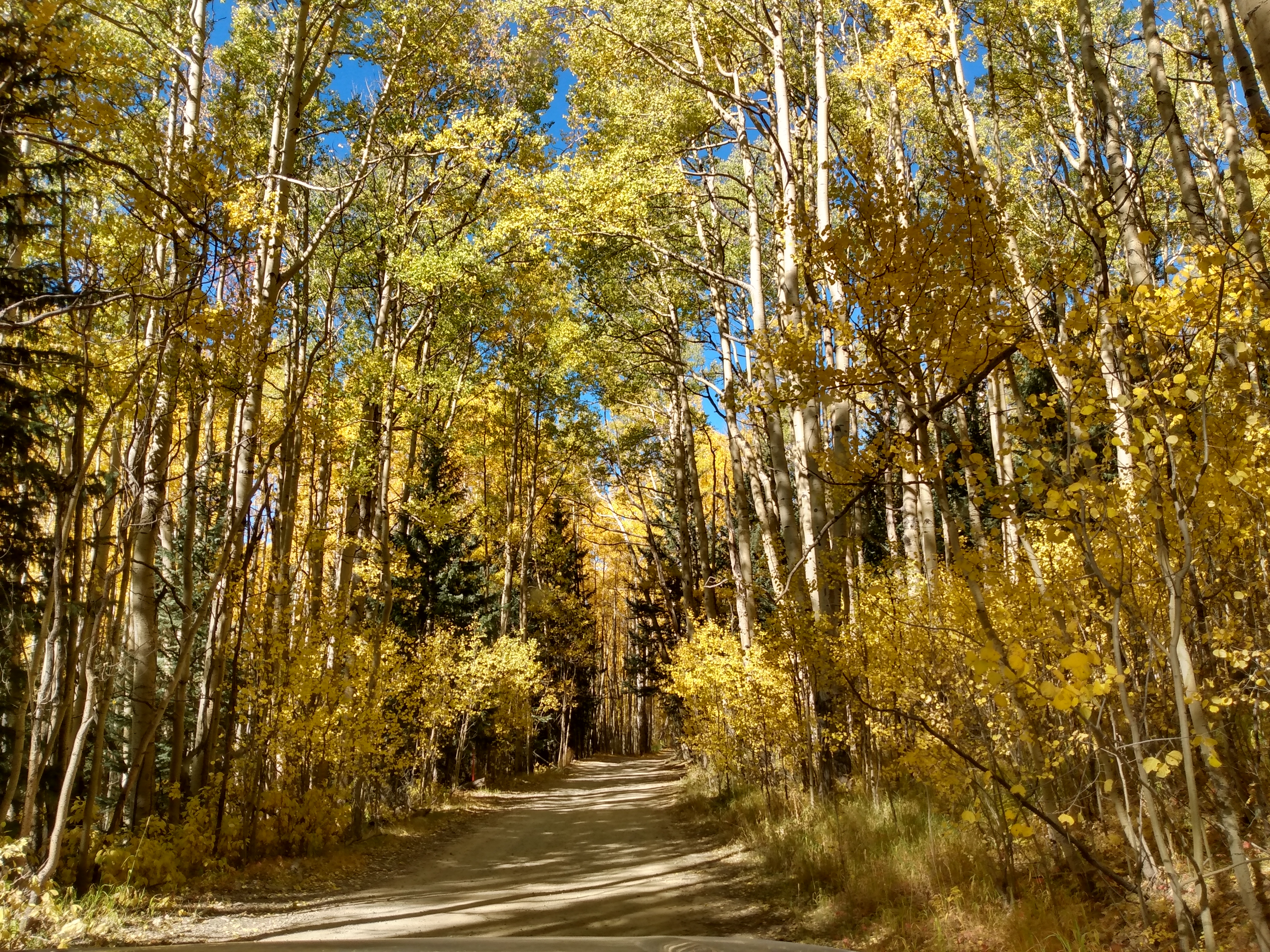 IMG_20191006_103748955_HDR