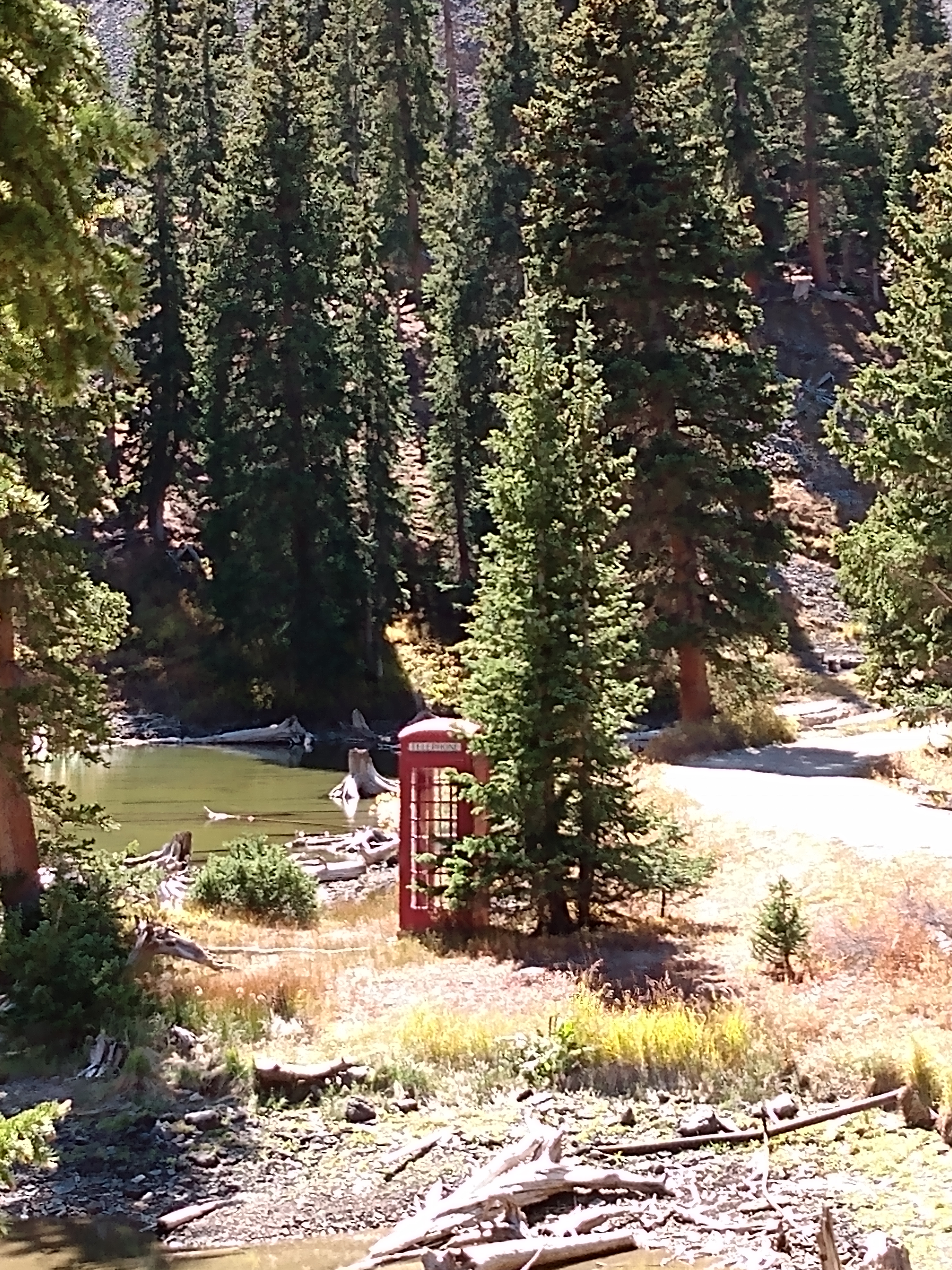 IMG_20191006_122911068