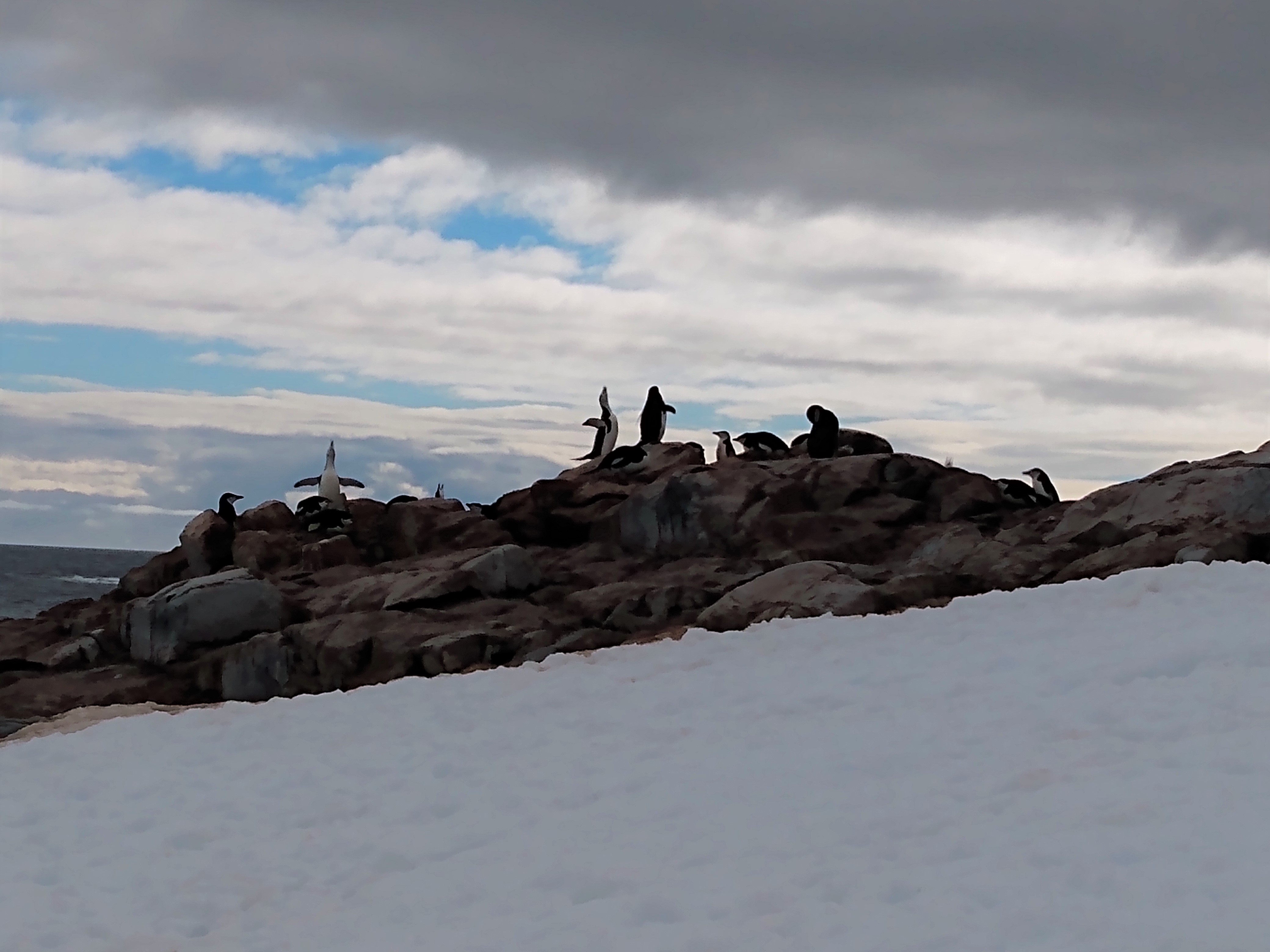 IMG_20200103_093604491