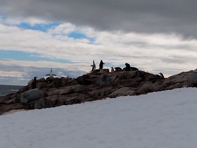 IMG_20200103_093604491