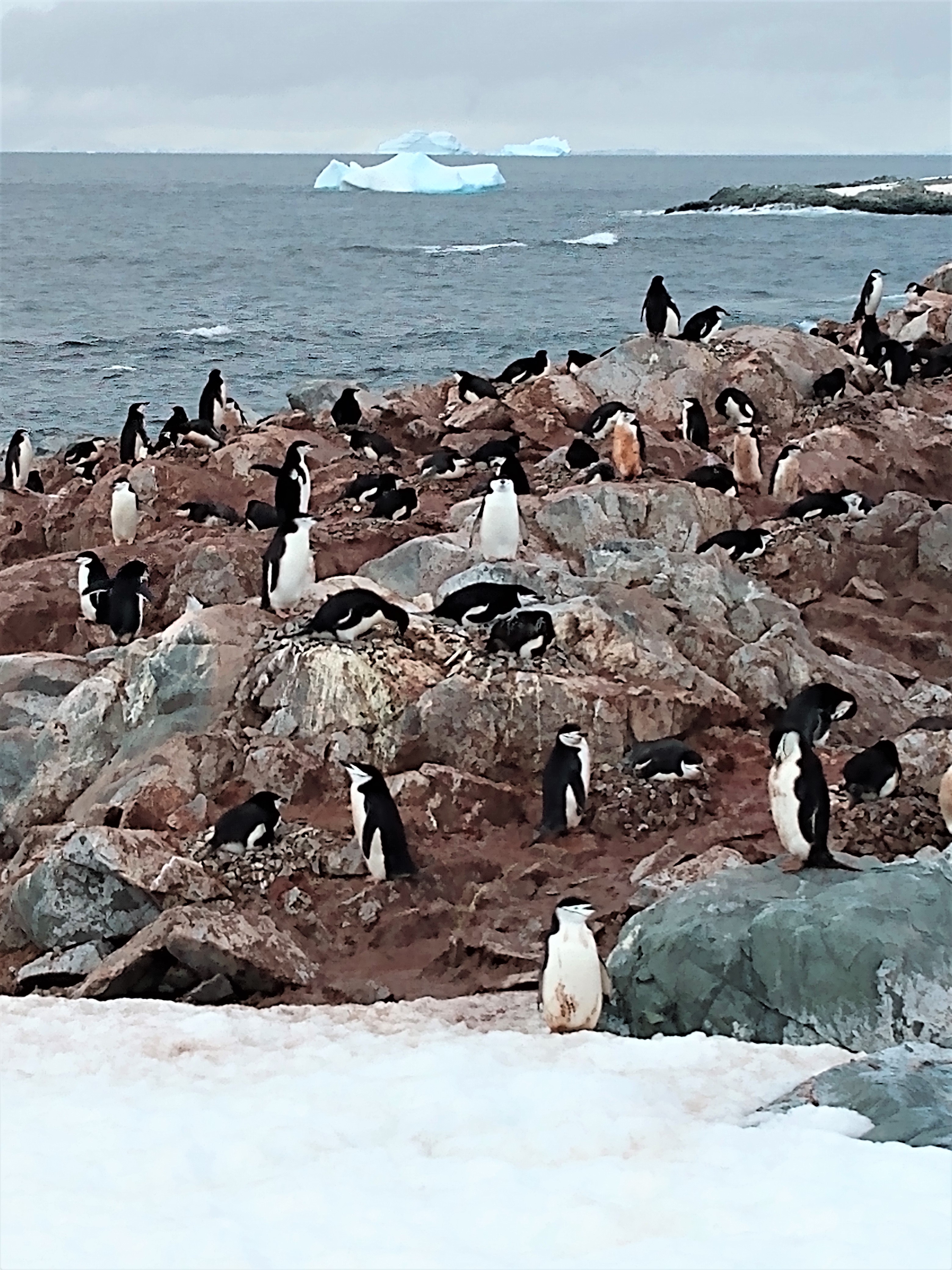 IMG_20200103_104938009