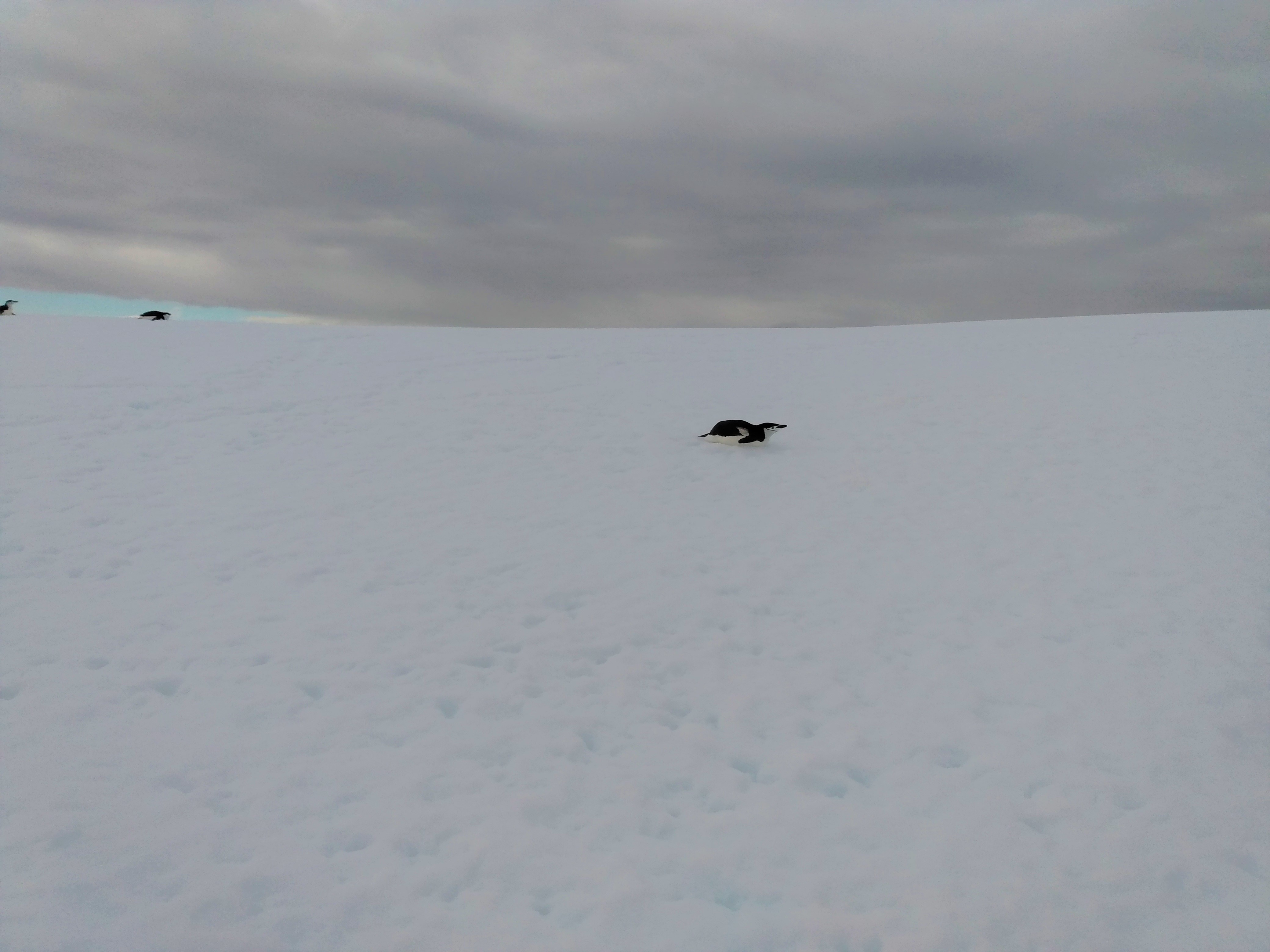 IMG_20200103_110558660