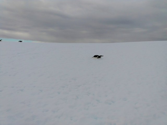 IMG_20200103_110558660