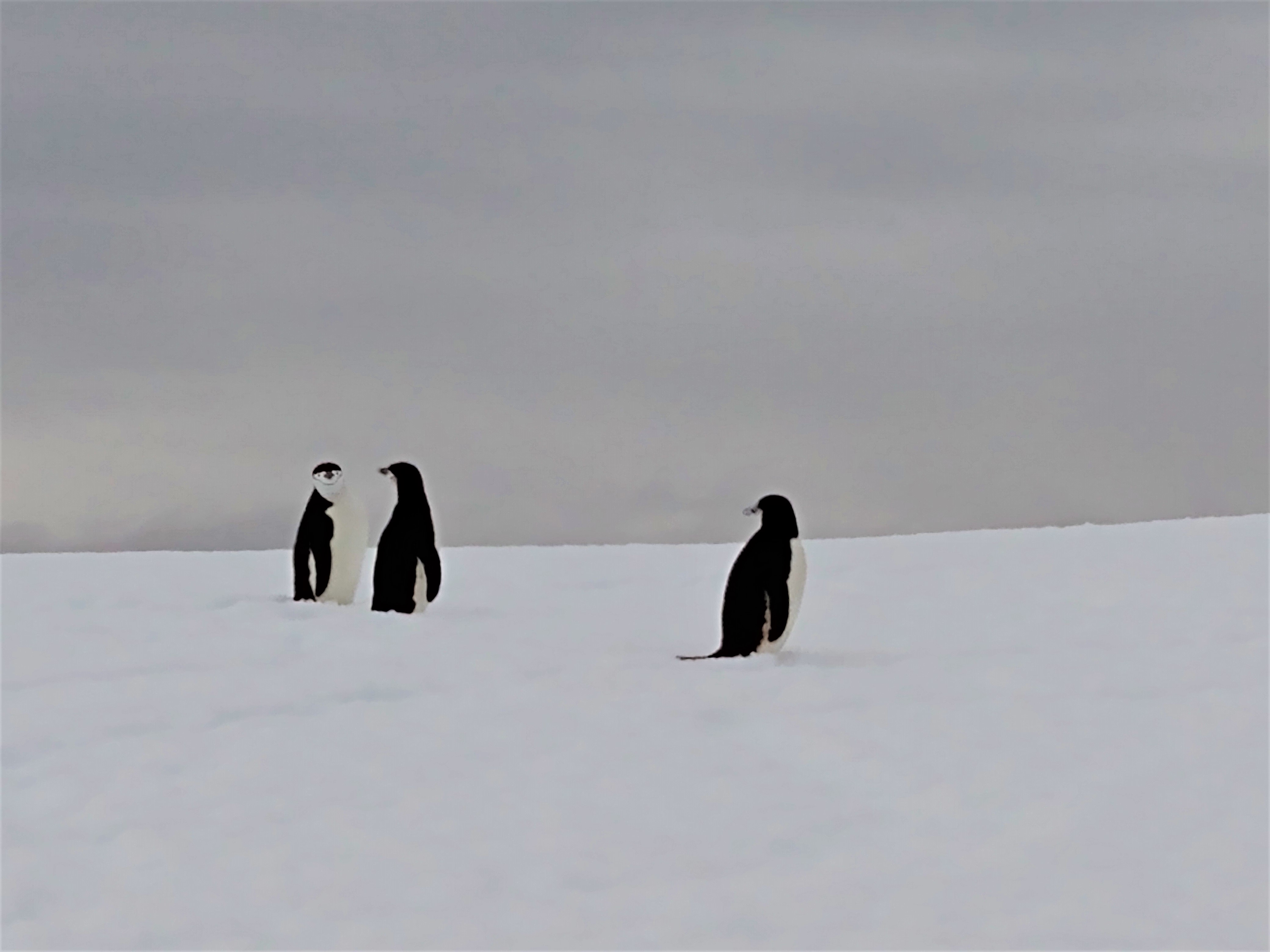 IMG_20200103_110650698