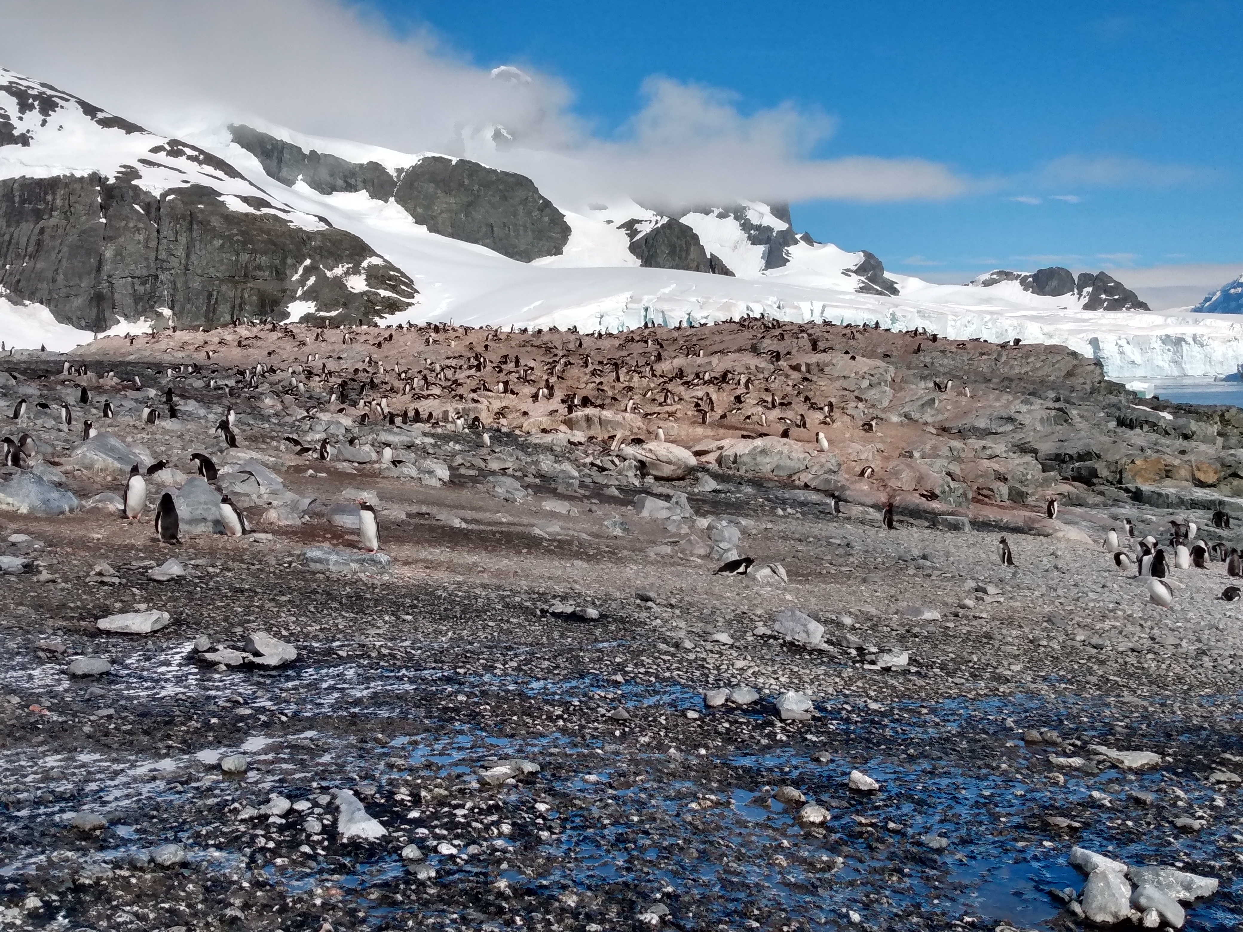 IMG_20200104_100015965_HDR