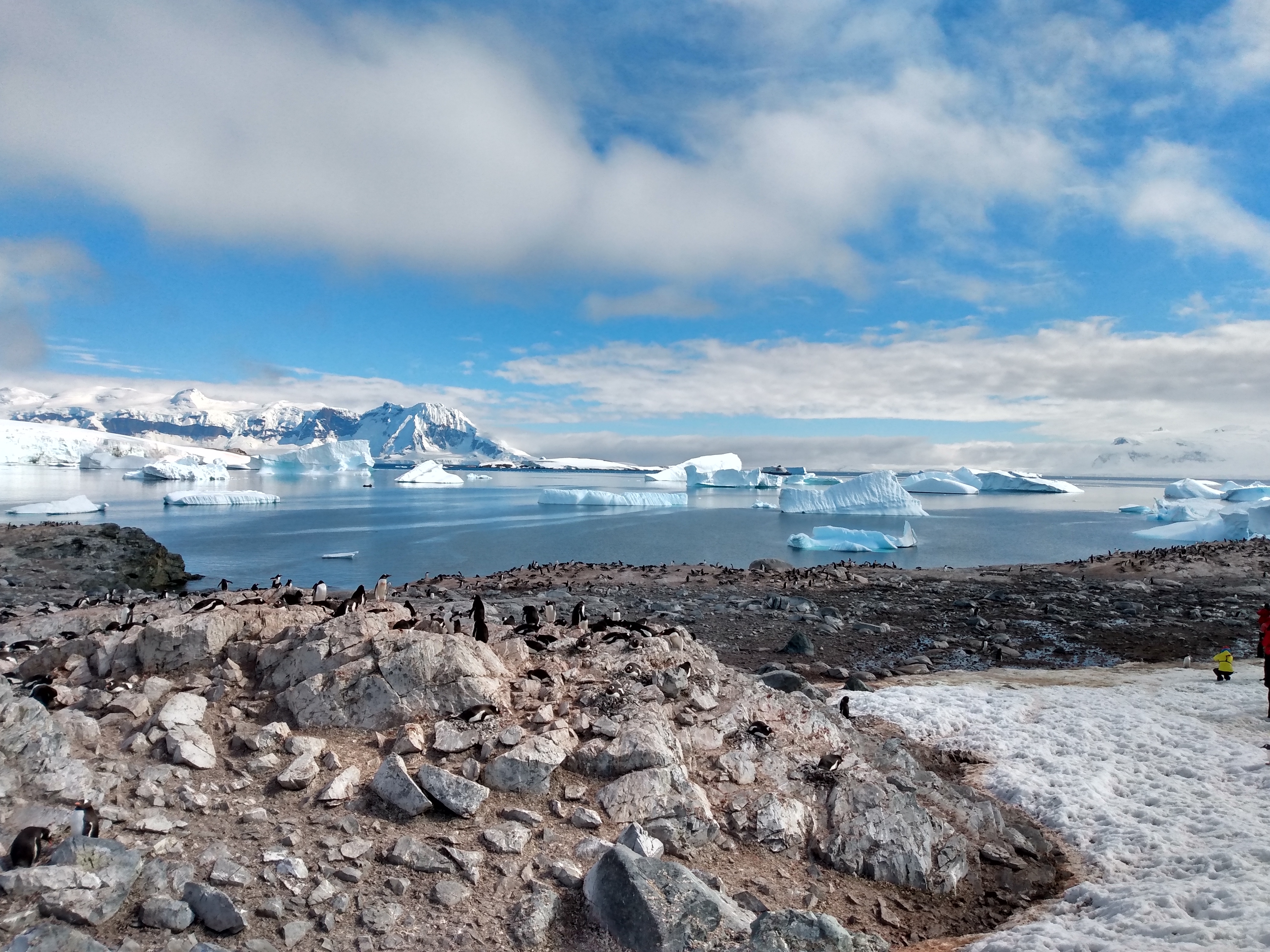 IMG_20200104_102610394_HDR