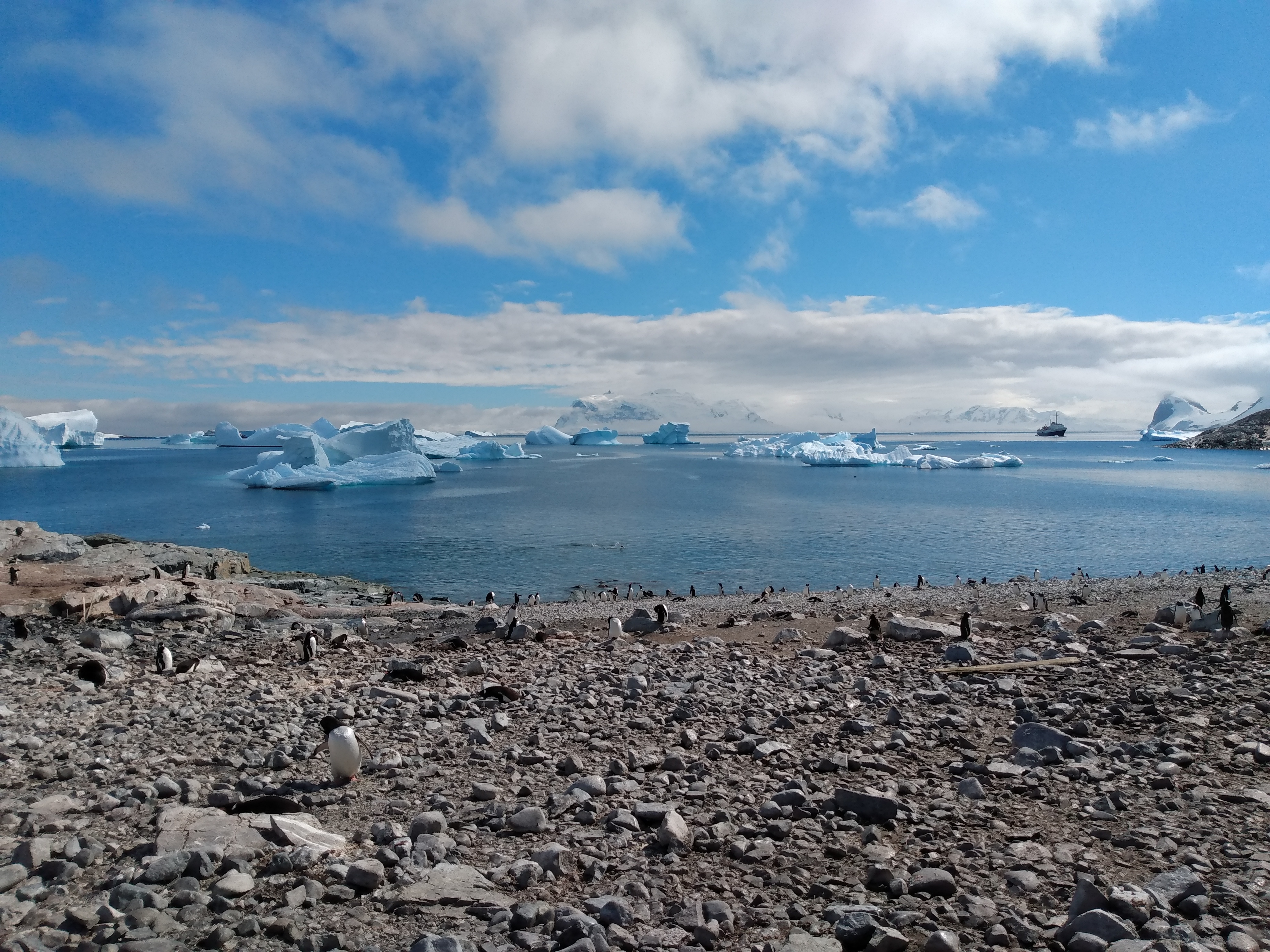 IMG_20200104_103412649