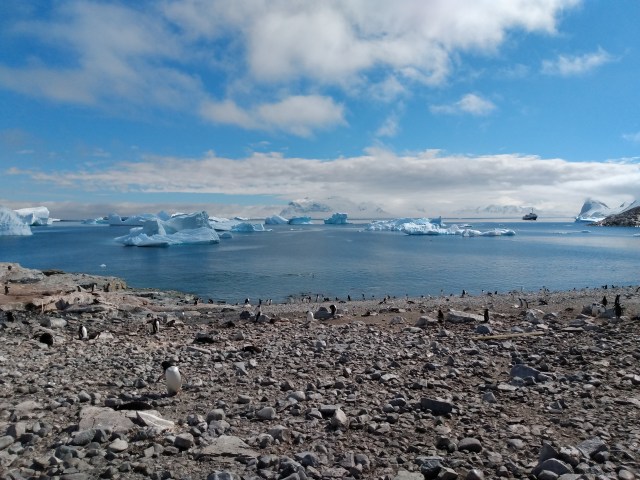 IMG_20200104_103412649