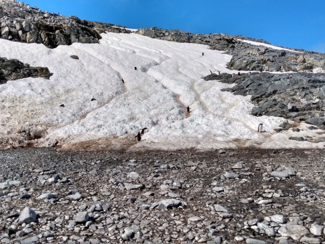 IMG_20200104_103850727_HDR