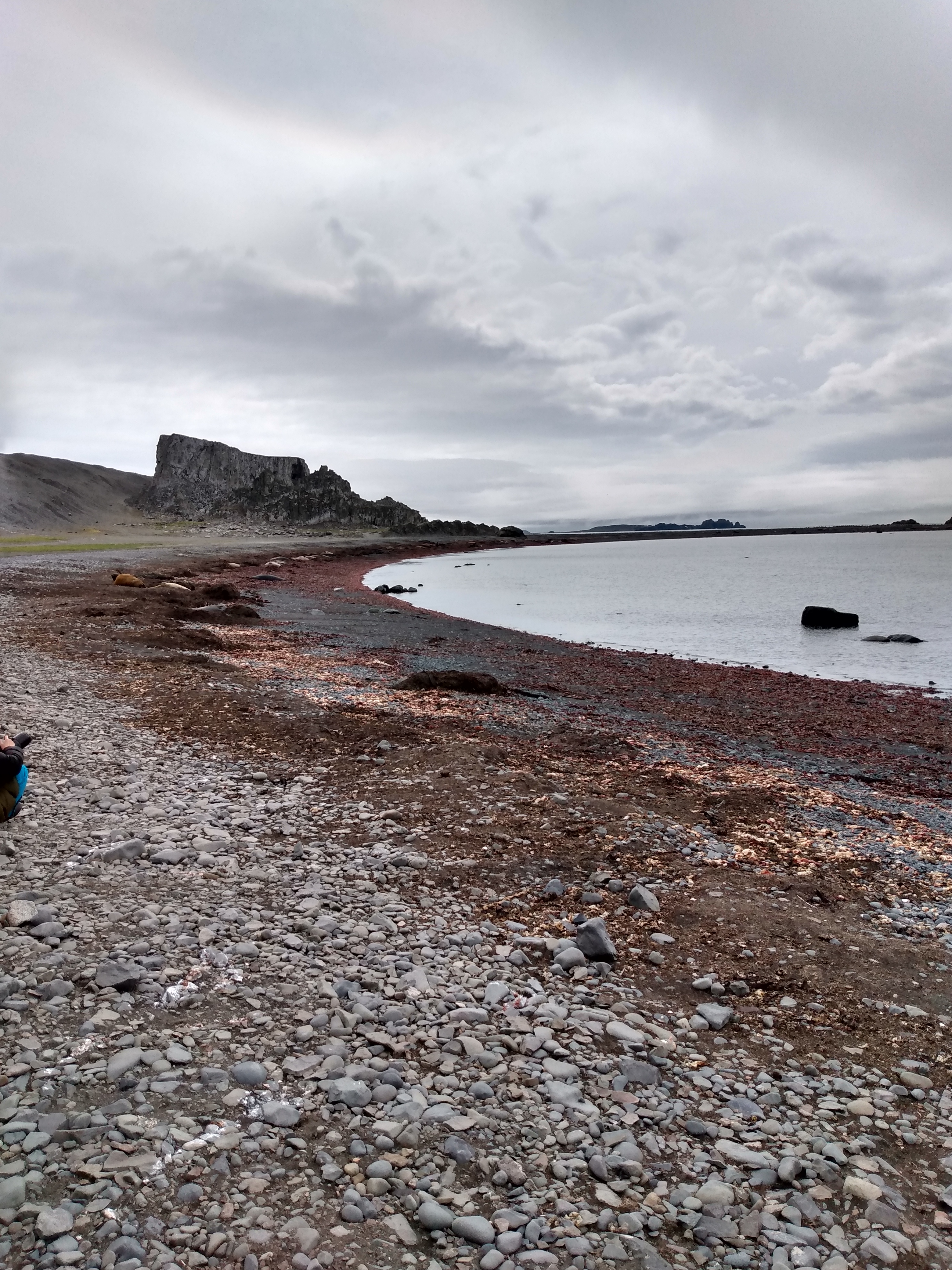 IMG_20200106_103339262_HDR