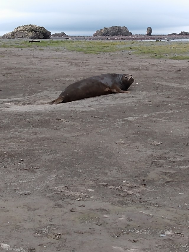 IMG_20200106_105243567