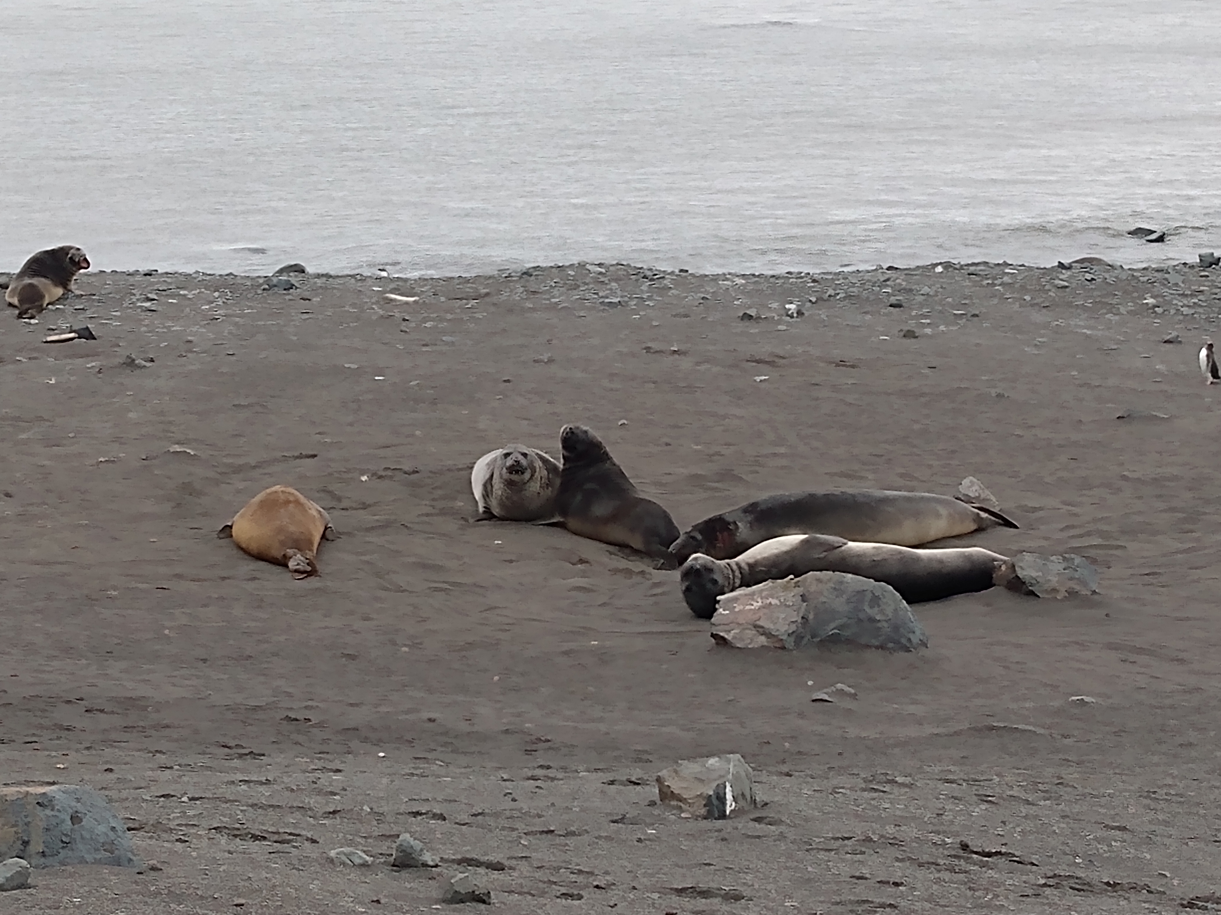 IMG_20200106_153757393