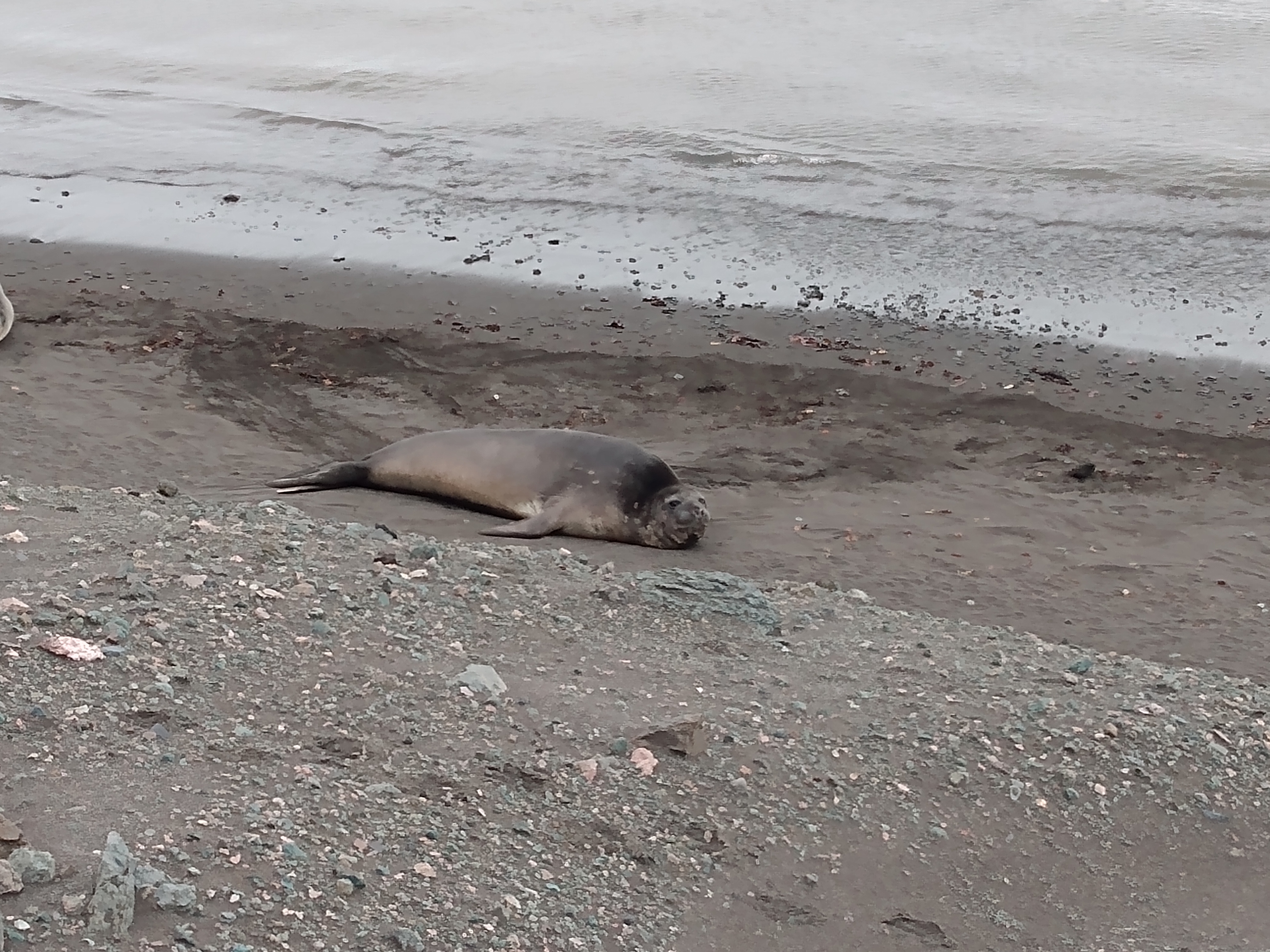 IMG_20200106_154124228