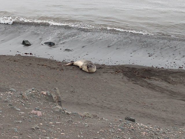 IMG_20200106_154159565