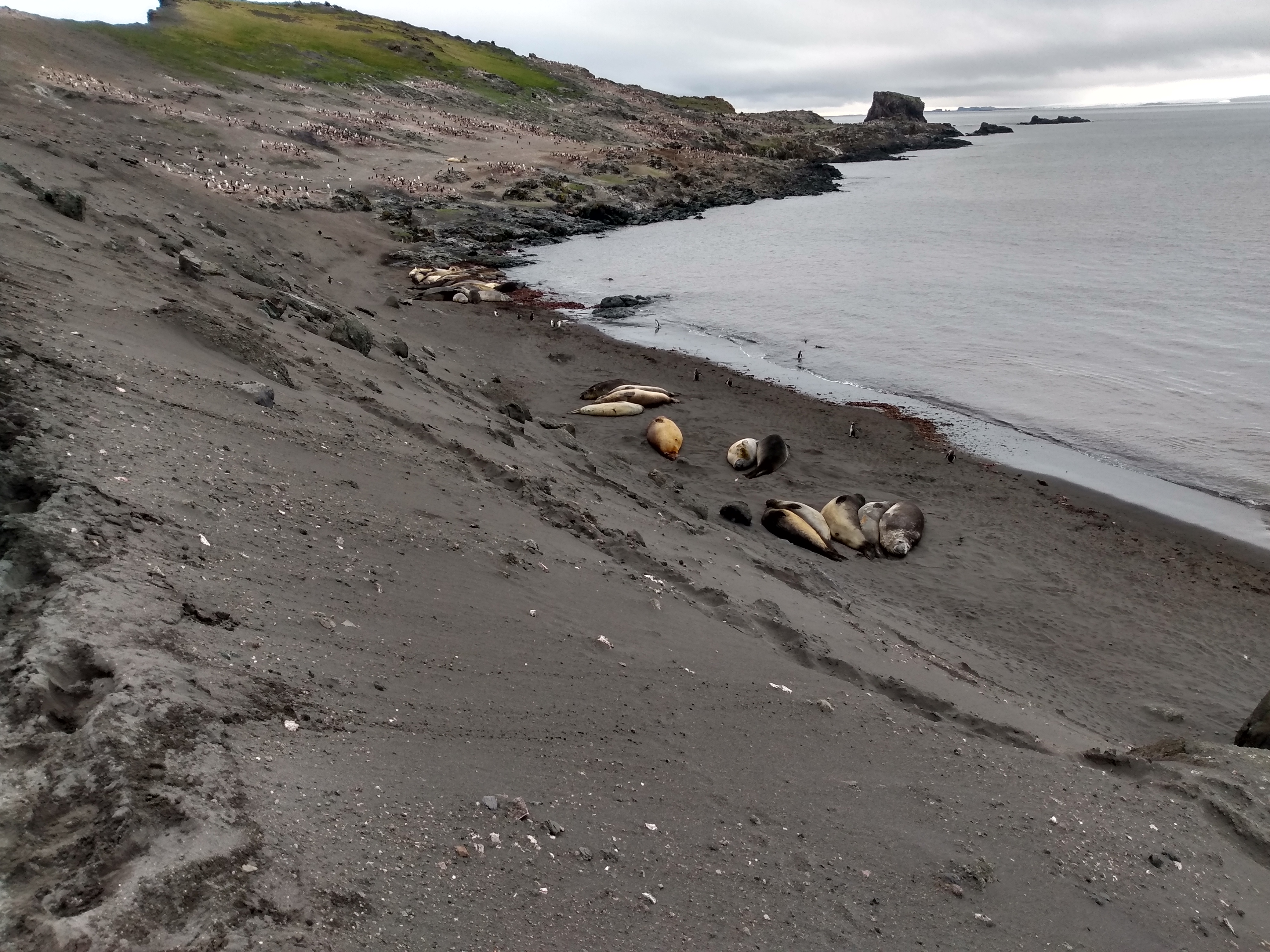 IMG_20200106_154502559_HDR