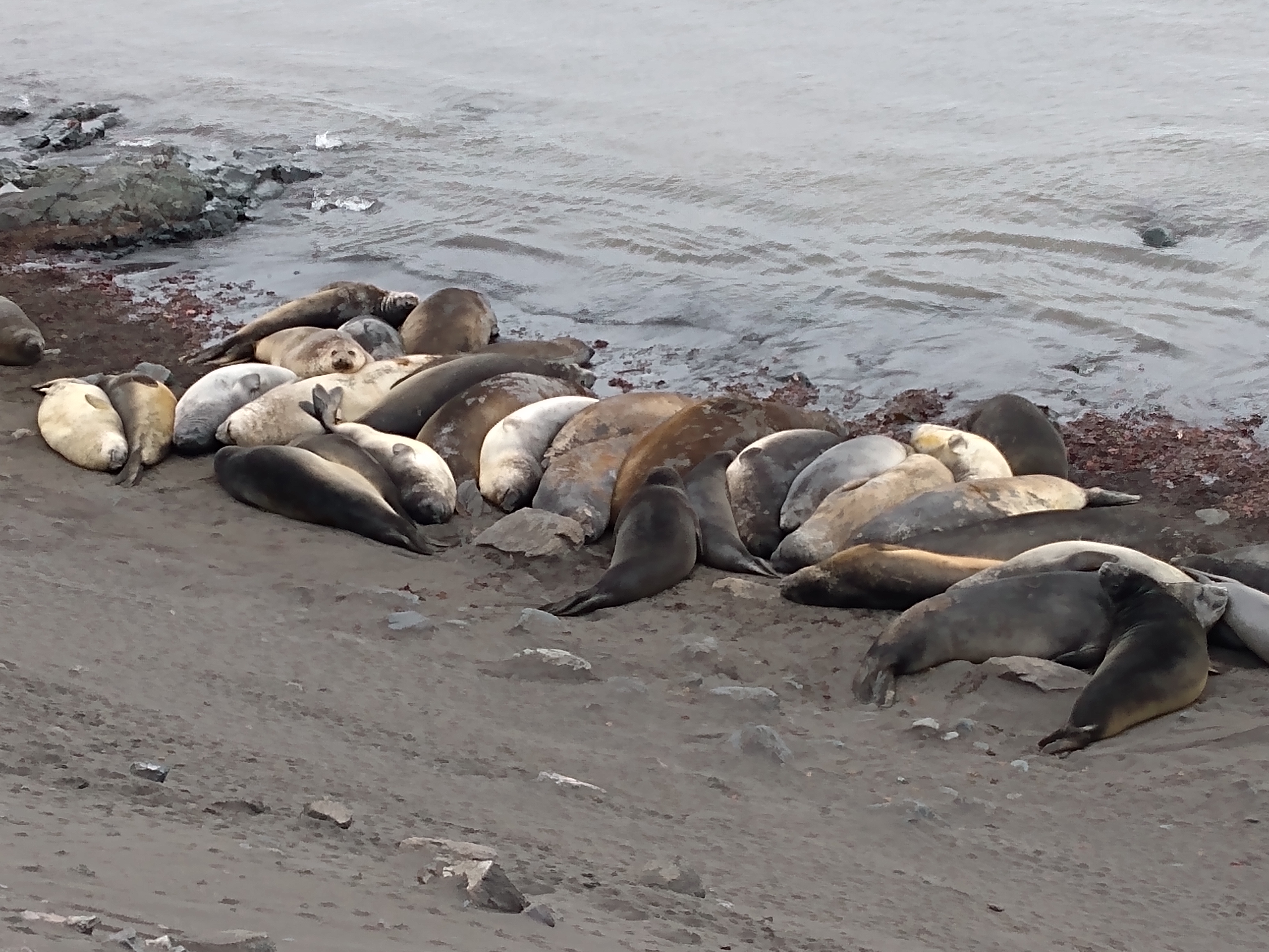 IMG_20200106_154711749