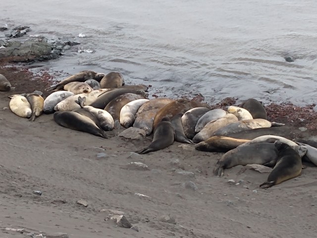 IMG_20200106_154711749