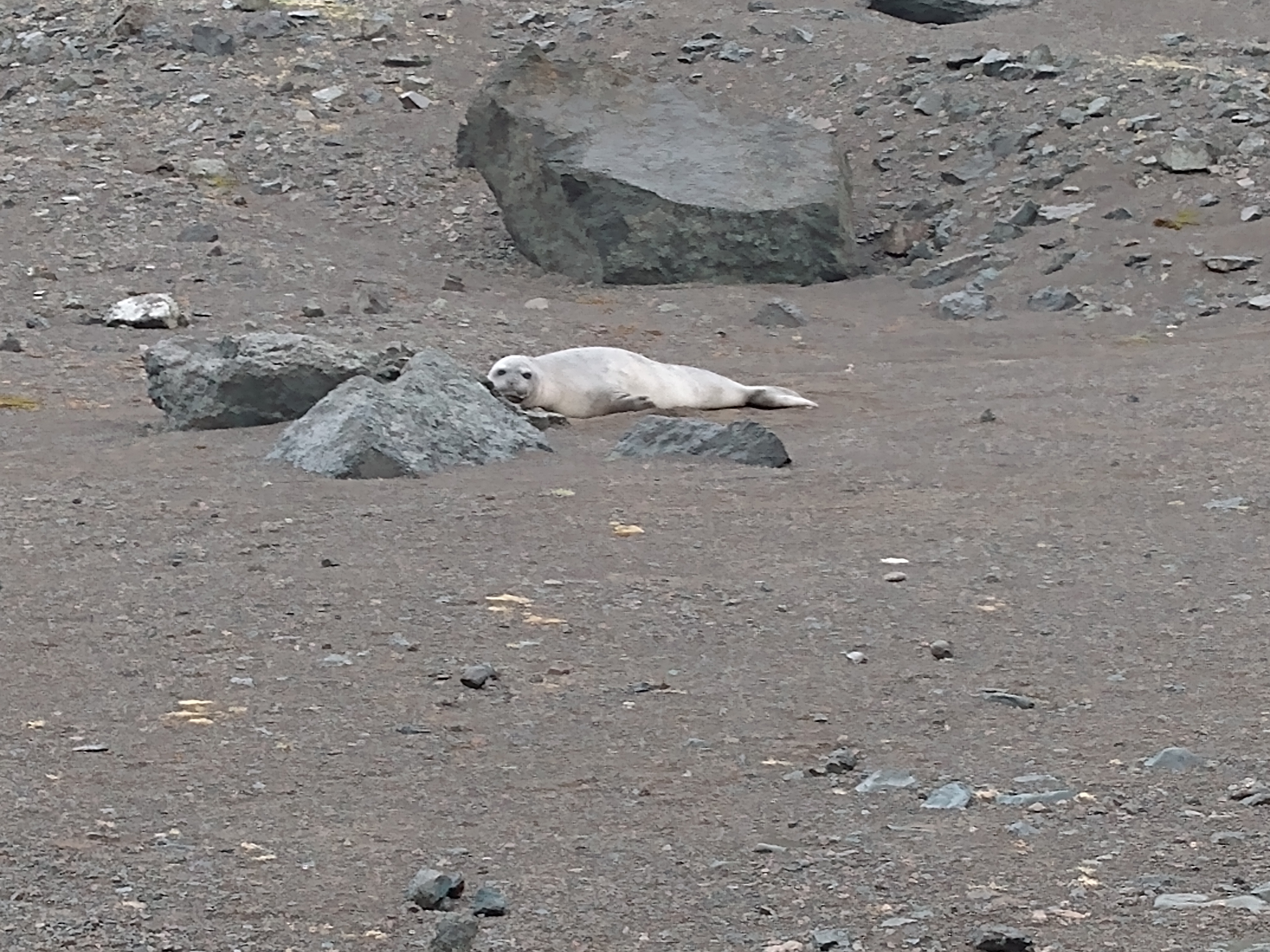 IMG_20200106_172042717